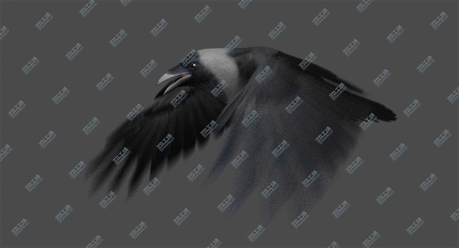 images/goods_img/2021040163/House Crow (Animated)/4.jpg